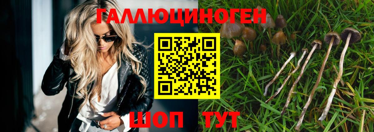 Псилоцибиновые грибы мицелий  купить закладку  Галлюциногенные грибы ЛСД  Соль-Илецк  Вход с VPN 